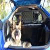 ERGOTECH Dog Guard for SEAT Leon (2005–2012), RDA65-XS view 2