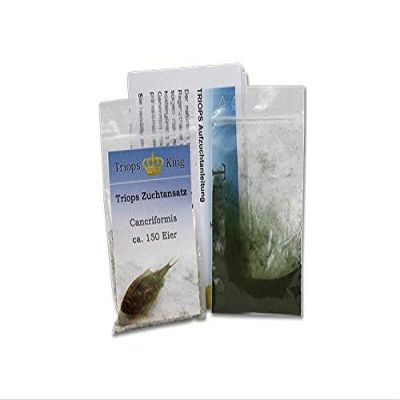 Triops King Triops Cancriformis Starter Set with Approx. 150 Eggs/Cysts