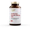 CORDYCEPS Extract 500 mg Capsules, 100 Count view 1