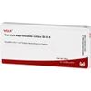 Glandula Supraren. Cort. GL D6 WALA Ampoules, 10 ampoules view 2