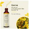 Original Bach Flower Drops No. 13 Gorse: Renewed Strength and Positive Thoughts, 20 mL view 2