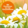 ARDAP Spot-On for Dogs Over 55 lb (25 kg) – Pyrethrum – Tick and Flea Protection – 3 x 4 mL Tubes – Up to 12 Weeks (PT19) view 2