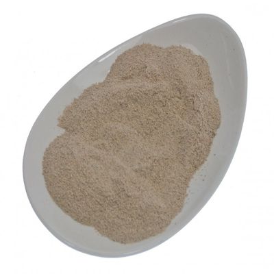 SENA Premium Ground Jerusalem Artichoke Tuber (25 g)