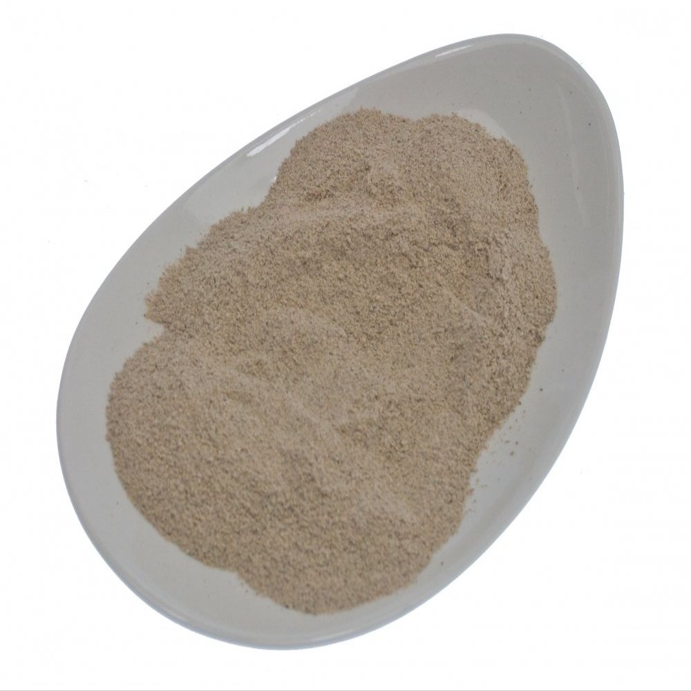 SENA Premium Ground Jerusalem Artichoke Tuber (25 g)