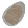 SENA Premium Ground Jerusalem Artichoke Tuber (25 g) view 1