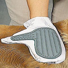Pet Grooming Glove