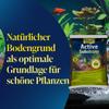 Tetra ActiveSubstrate for Aquarium Plants, 3 L Bag view 3