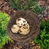 Flat-Bottom Bird Nest Cage Accessory for Small Animal Habitats view 4