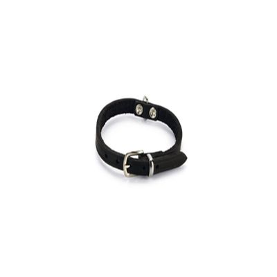 Beeztees 735312 Leather Dog Collar, 23–28 x 1 cm, Black
