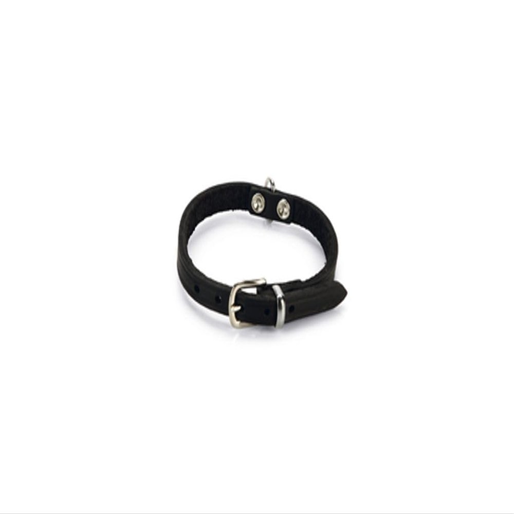 Beeztees 735312 Leather Dog Collar, 23–28 x 1 cm, Black