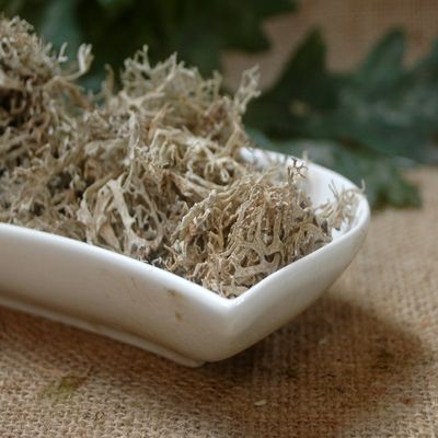 Naturix24 Oakmoss, 100 g Bag