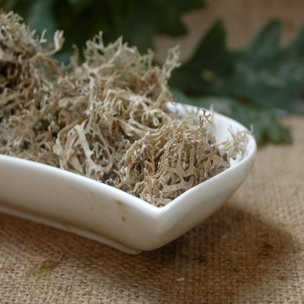 Naturix24 Oakmoss, 100 g Bag
