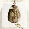Salumificio Rossi Culatello di Zibello PDO, Whole with String, Unpeeled (4–5 kg) - CUZIBRS view 1