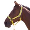 Shires Topaz Nylon Horse Halter, Black/Yellow, Extra-Large view 1