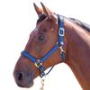 Shires Topaz Nylon Horse Halter, Black/Yellow, Extra-Large view 3