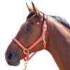 Shires Topaz Nylon Horse Halter, Black/Yellow, Extra-Large view 4