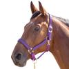 Shires Topaz Nylon Horse Halter, Black, XX-Small, Violet view 1