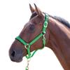 Shires Topaz Nylon Horse Halter, Black, XX-Small, Violet view 2