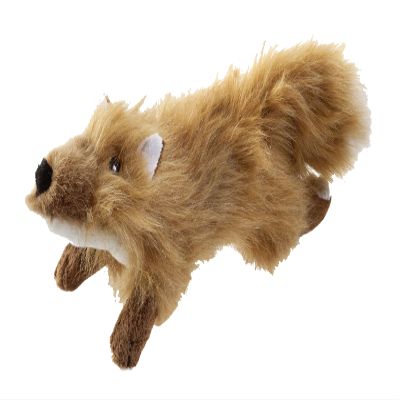 Country Dog Fox