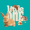 Little One Rabbit Food, 900 g view 2
