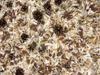 JR FARM Forest Bedding 10 L view 2