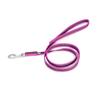 IDC Color & Gray Rubberized Leash, 20 mm x 1.2 m with Loop, Pink-Grey view 1