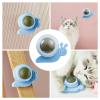 Catnip Wall Ball view 3