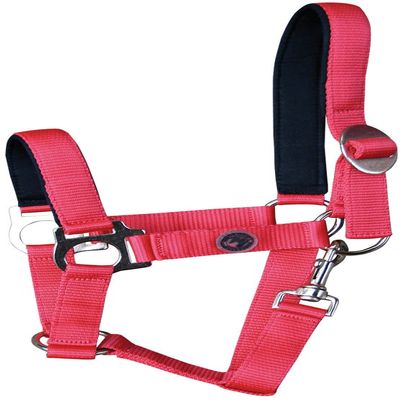 Harry's Horse Padded Halter, Color: Red, Size: Shetland