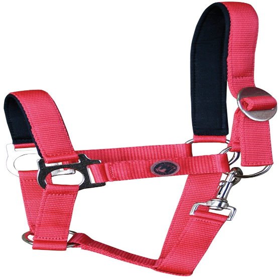 Harry's Horse Padded Halter, Color: Red, Size: Shetland