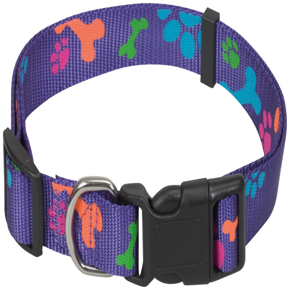 CHAPUIS SELLERIE SLA478 Adjustable Dog Collar - Nylon with Purple Paw Prints - 25 mm Wide - 46–66 cm - XL