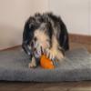 Beeztees Sumo Play Dog Toy, Rubber, Orange, M view 2