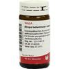 ATROPA Belladonna e Radix D 20 Globules, 20 g view 1