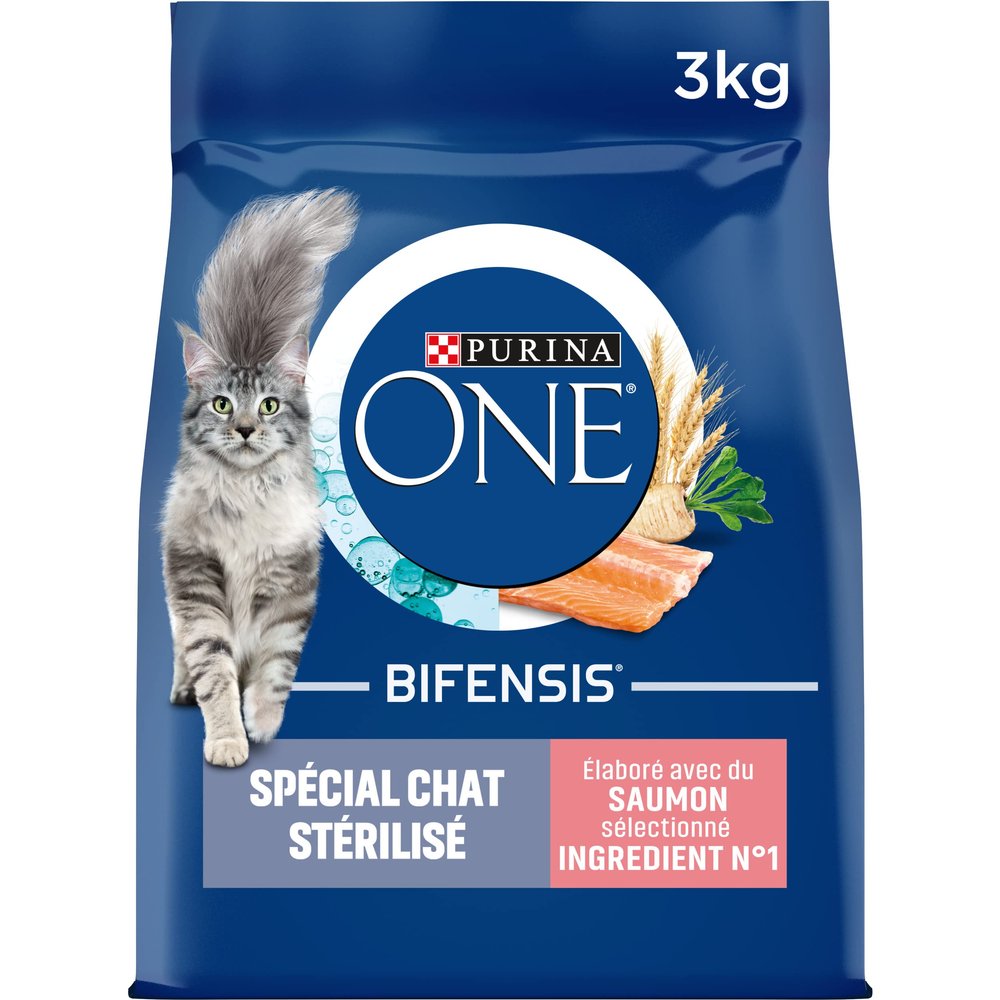 Purina ONE Sterilized Adult Cat Dry Food with Salmon