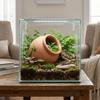 Aquarium Decor Amphora Breeding Cave for Crayfish Catfish Black Terra Large view 2