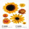 AG Design Wall Stickers F 0408 Flowers view 1