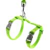 SMALLLEE_LUCKY_STORE Adjustable Harness and Leash Set for Small Pets view 1