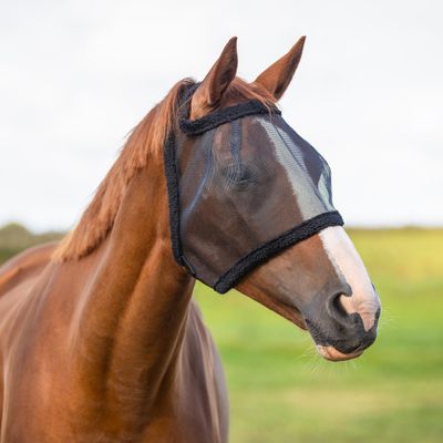 QHP Fly Mask Without Ears | Clear Vision | Easy to Fasten | Comfortable | Easy Care | Black