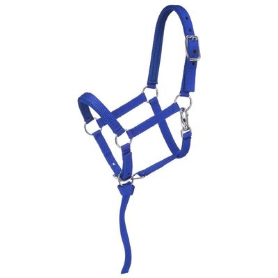 Tough 1 Nylon-Padded Mini Halter, Blue/Royal
