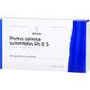 Prunus spinosa summitates Rh D3 WELEDA Ampoules, 8 Ampoules view 4