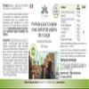 Bladder Formula with Pumpkin Seed Extract - 180 Capsules - with Goldenrod Herb, St. John's Wort and Vitamin E - Vegan | HERBADIREKT by Warnke Vitalstoffe - German Pharmacy Quality view 4