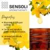 SENSOLI St. John's Wort Carrier Oil view 3