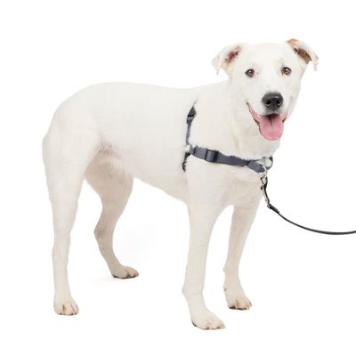 PetSafe Deluxe Easy Walk Dog Harness