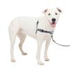 PetSafe Deluxe Easy Walk Dog Harness view 1