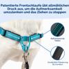 PetSafe Deluxe Easy Walk Dog Harness view 4