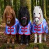 POINTS 1200D Rain Sheet for Mini Shetland Ponies – Tysons view 2