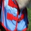 POINTS 1200D Rain Sheet for Mini Shetland Ponies – Tysons view 3