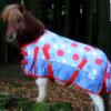 POINTS 1200D Rain Sheet for Mini Shetland Ponies – Tysons view 4