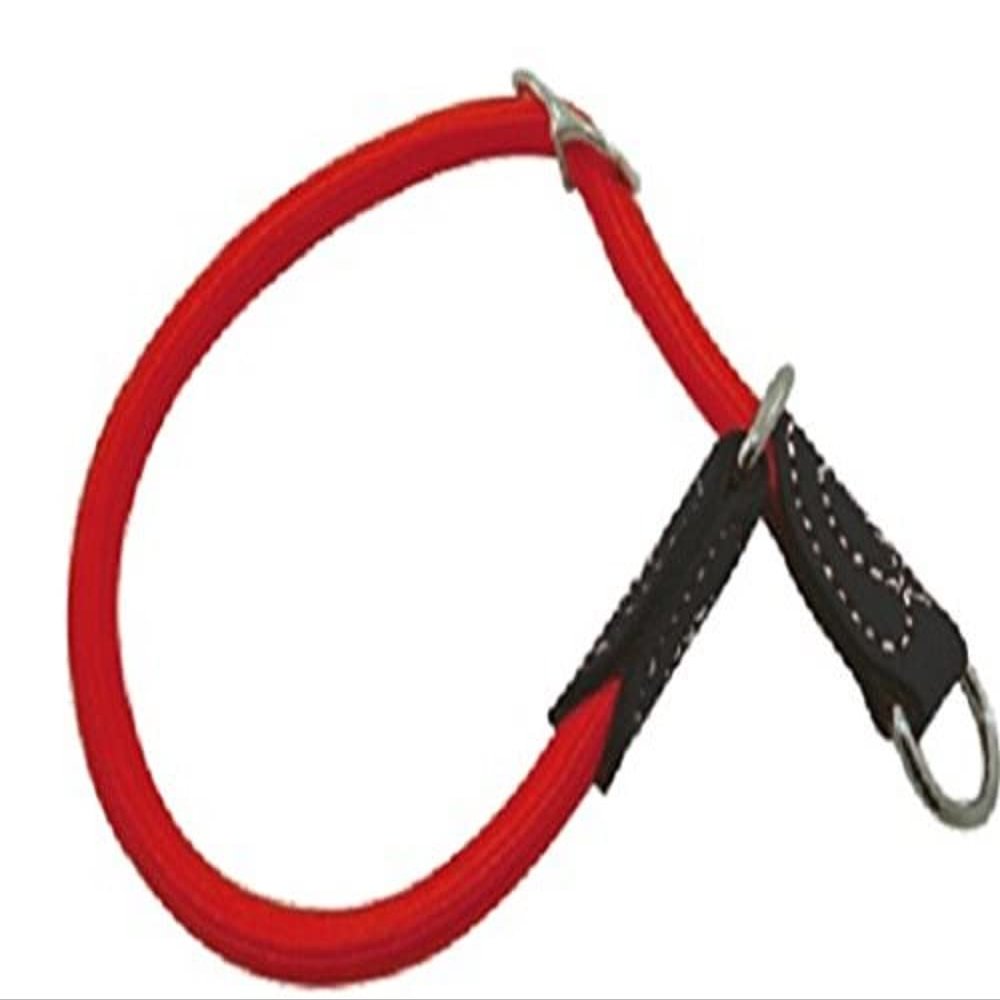 Croci C5079612 Nylon Dog Collar, Red