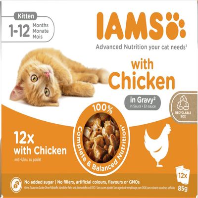 IAMS Delights Kitten Wet Food - Chicken in Sauce, 12 x 85g