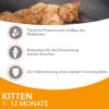 IAMS Delights Kitten Wet Food - Chicken in Sauce, 12 x 85g view 4